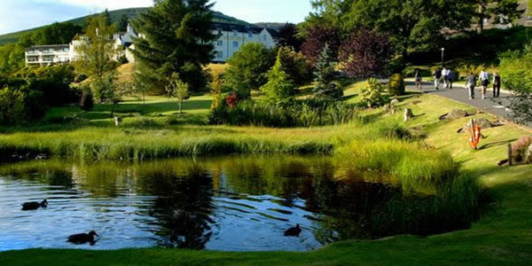 Macdeonald Hotel Forest Hills