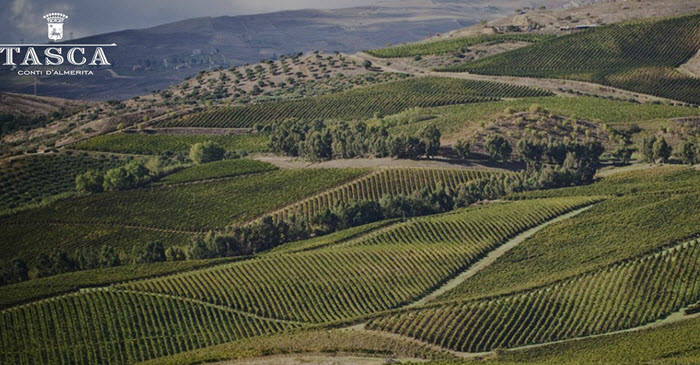 sicily tasca winery